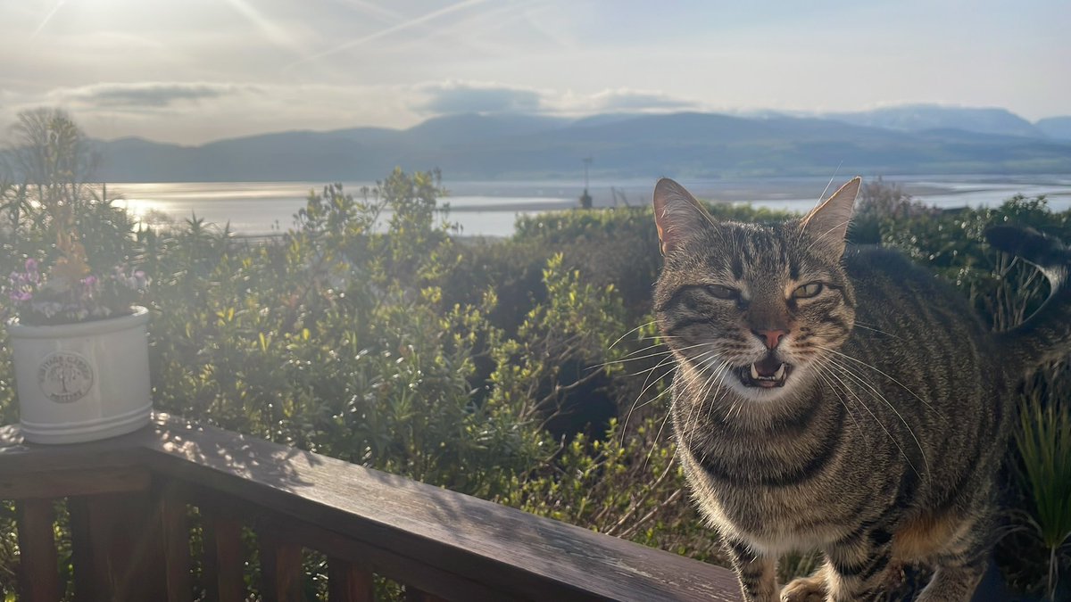 Lotti Summers tweet media