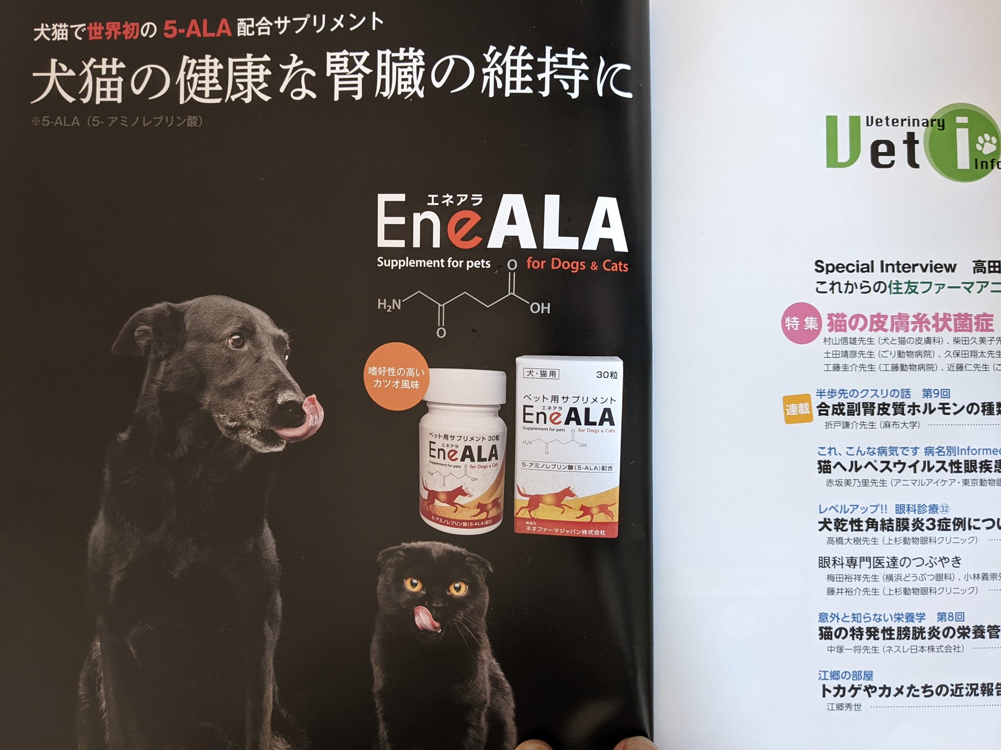 パステルオリーブ エネアラ 30粒×3個 犬猫用 | alamiah.edu.sa