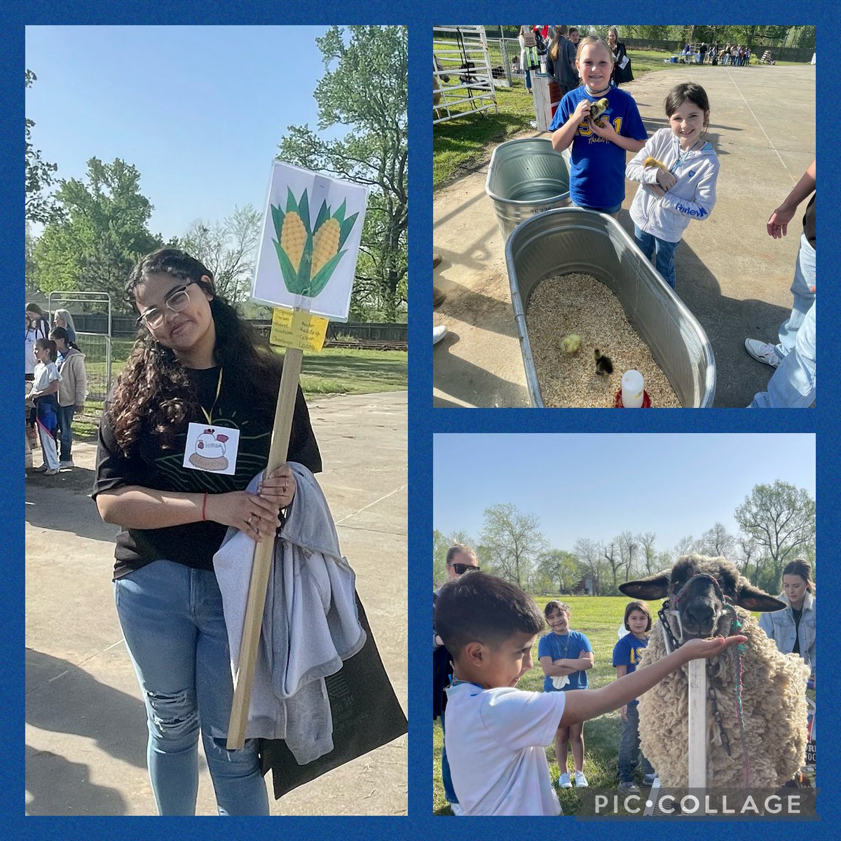 HardinISD tweet media