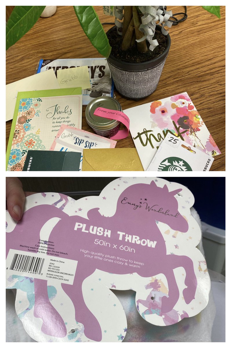 The Gator family is the absolute best. Thank you SO much for making me feel so special during AP week! At some point I mentioned I wish I had a unicorn in my office and today I did! Along with a money tree, cookies, kind words, and more! What a magical place to work! 💚 🦄