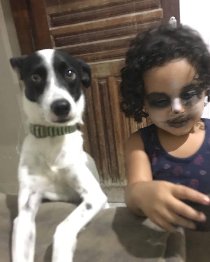 Dilo con perritos tweet media