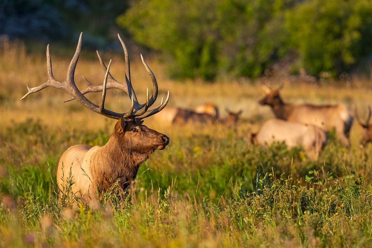 RockyNPS tweet picture