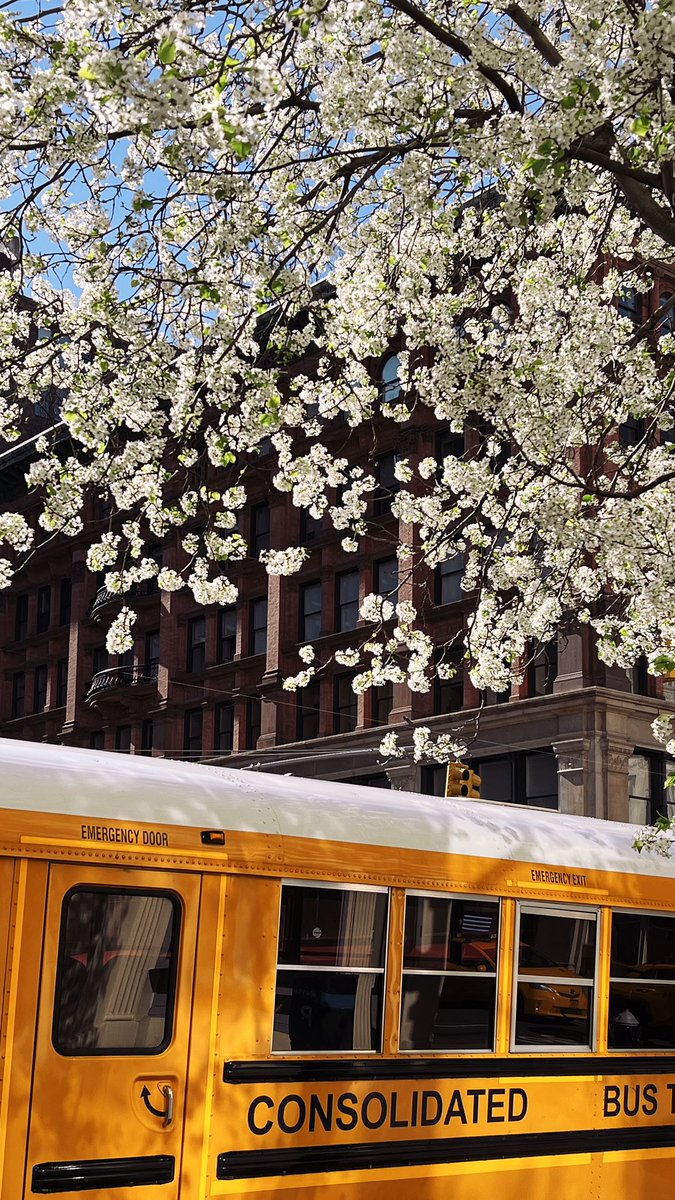 Bill Couch tweet media