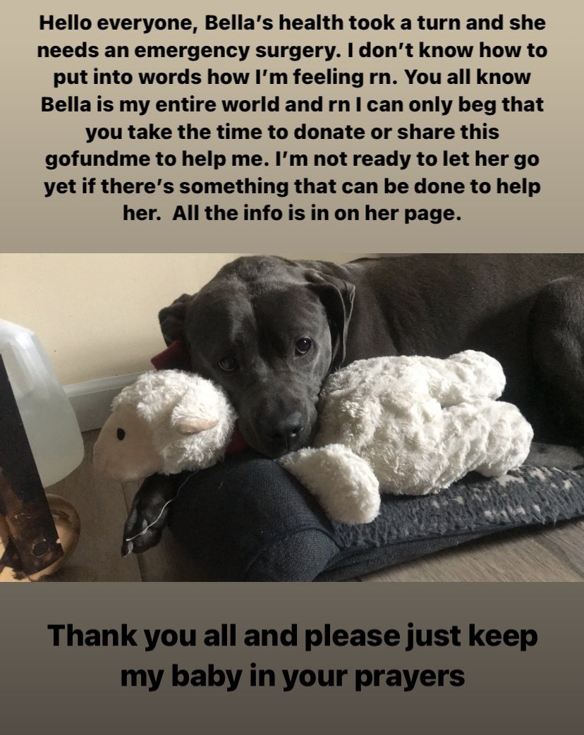 Big_Nesss's tweet photo. I appreciate any help and retweet I can get to save my baby. The link is: https://t.co/qd6Jx16oLj
#pitbull #GoFundMe #help #retweet https://t.co/EAqlwONzSE