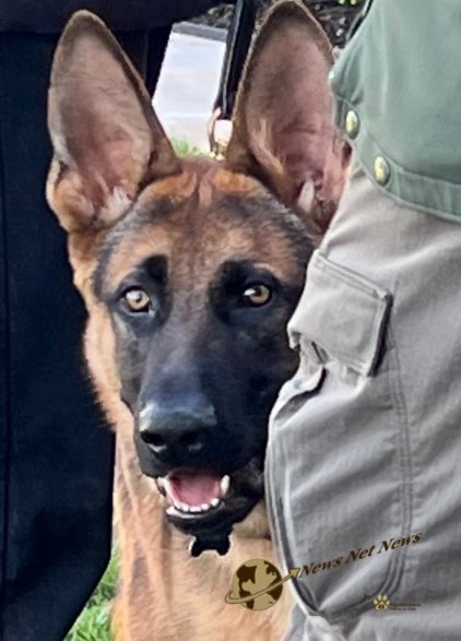 NewsNetNews's tweet photo. ๐บ๐ธ๐ถ Fri 8 Apr 22 A few members of the press got a chance to meet #Commander after they PreSet for the #JudgeKetanjiBrownJackson event on the South Lawn The #FDOTUS was being walked in the Rose Garden this am & stopped at sidewalk edge to greet his fans from the Press Corps ๐ถ๐บ๐ธ https://t.co/AaKVS0mS4q
