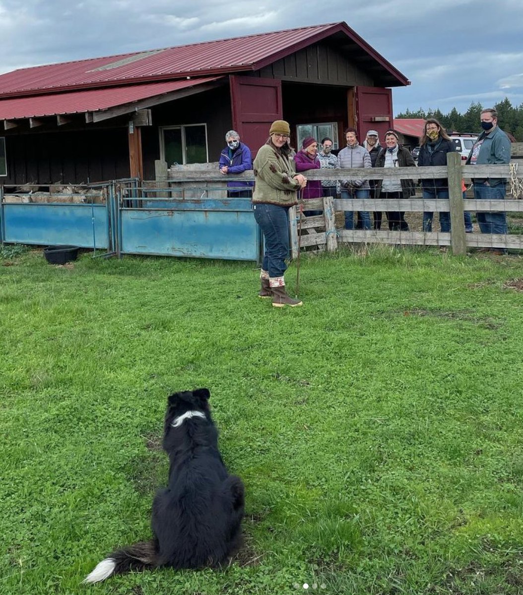 Brickworks360's tweet photo. Spring Newsletter from the San Juan Islands Agricultural Guild - https://t.co/LjZg4oacad https://t.co/mkljLoxCwA