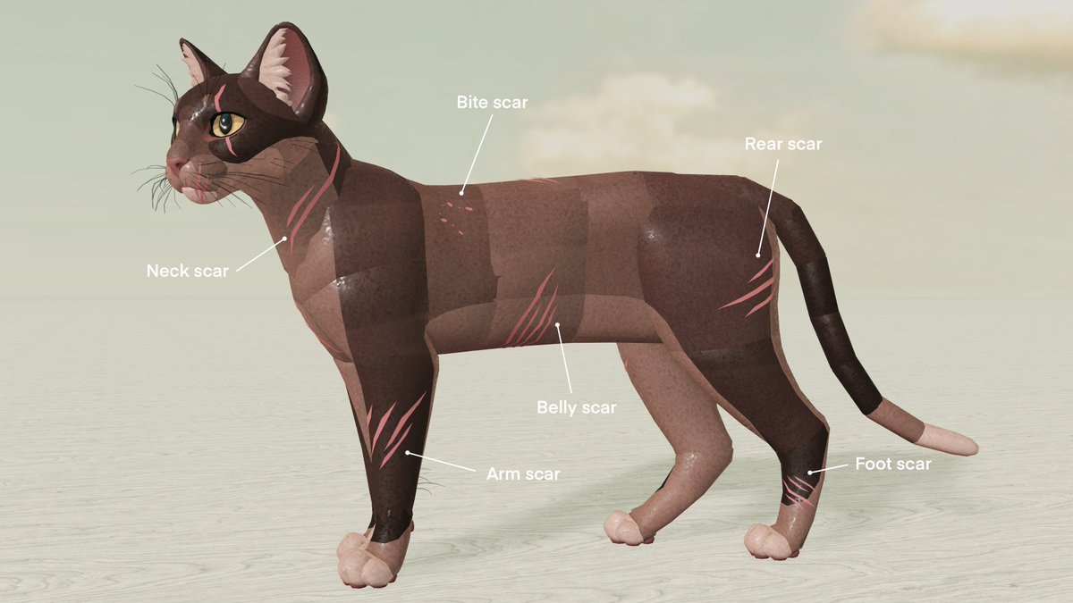 Bavelly3's tweet photo. 1/2 Remodeled scars for my cat model! @wcrproblox #Roblox #RobloxDev #WarriorCats #WCUE https://t.co/BrKTzDNHr7