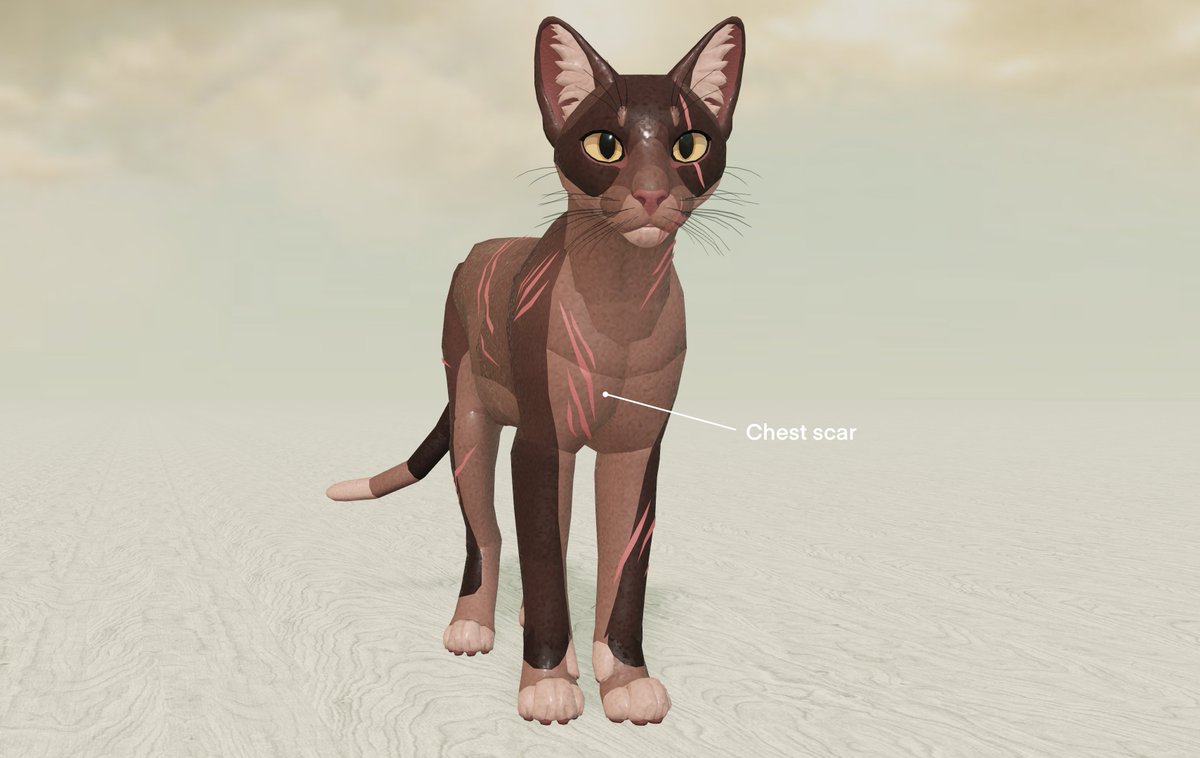 Bavelly3's tweet photo. 1/2 Remodeled scars for my cat model! @wcrproblox #Roblox #RobloxDev #WarriorCats #WCUE https://t.co/BrKTzDNHr7