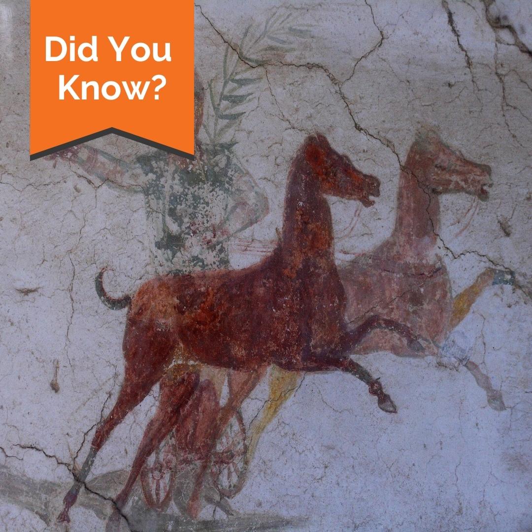 stablebuzz's tweet image. Did you know…

Extensive and selective breeding over the past few centuries has created over 600 breeds of horses today.

The Turkoman horse is now extinct; however, the Arabian horse still exists today.

#horses #horserider #equestrian #arabianhorse #turkomanhorse #horsefacts