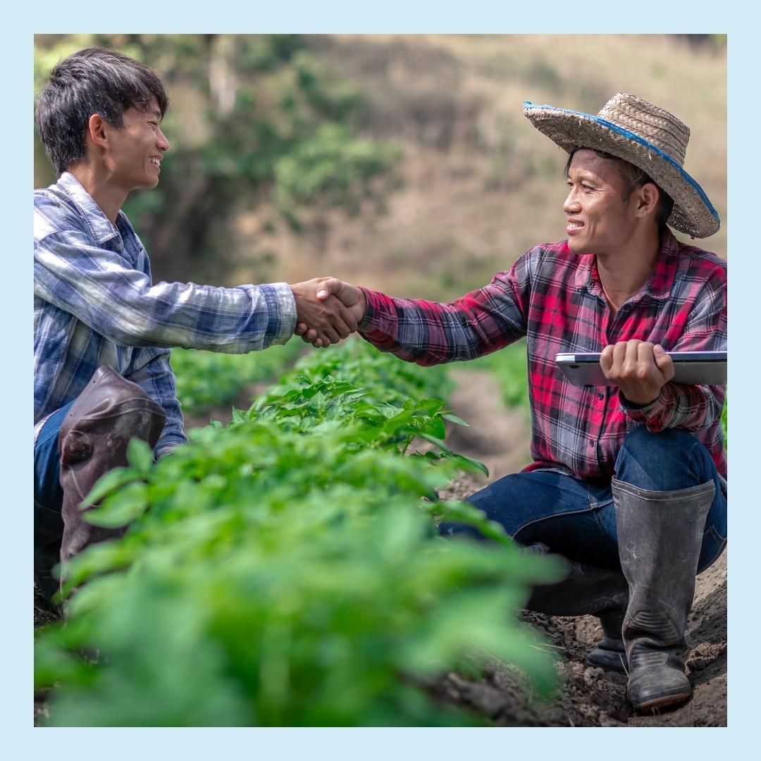 DirectFood.store tweet media