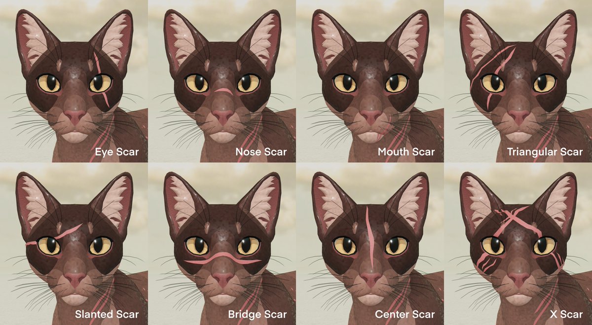 Bavelly3's tweet photo. 2/2 And here are the face scars :) https://t.co/RIdiW1wFRp