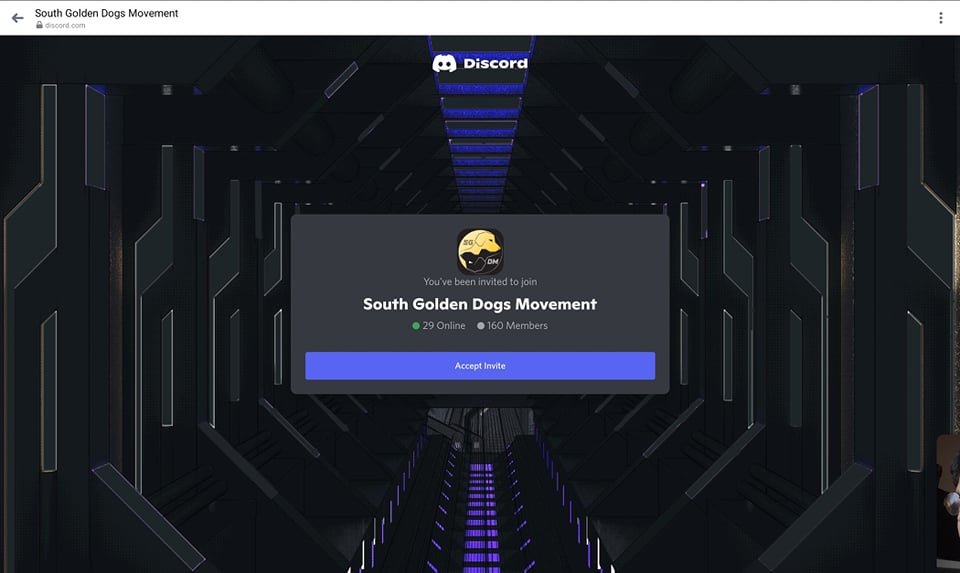 South Golden Dogs Movement tweet media