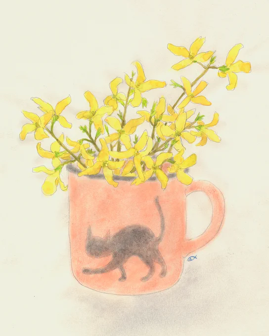 my mug 