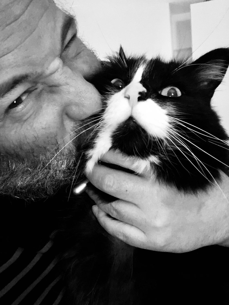 ChatMiles's tweet image. On veut me bouffer ! 🙀

D’ailleurs, vous avez vu « Barbaque » avec Marina Foïs et JoCo Jonathan Cohen ? 😻😻😻

V-Power ✌🏼