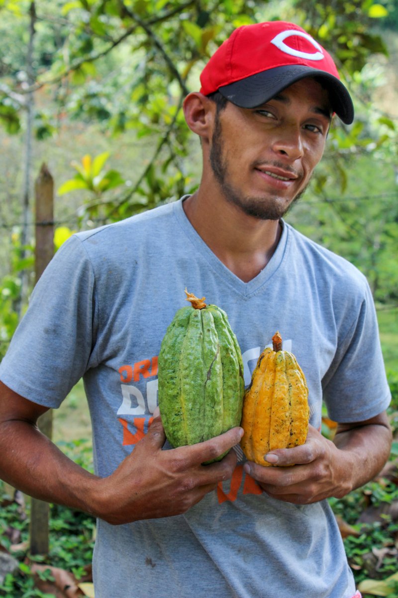 IngemannFC's tweet photo. 1 | O’Payo is our #organic #cacao and comes from Waslala, a municipality in the north of Nicaragua. 

Our collection truck travels approximately 6 to 7 hours from our warehouse to Waslala to collect the cacao beans at the producer’s farm gate. 🍫 https://t.co/VHXYVGnuS3