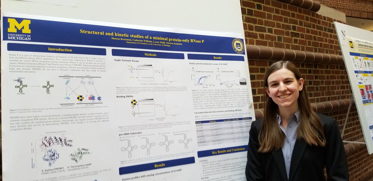 Koutmos Lab tweet media