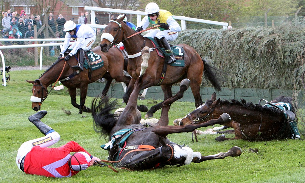 ProtectTheWild_'s tweet image. Tomorrow is the Grand National.

But there's nothing grand about this abusive spectacle where horses are ridden into the ground then shot in the head.

You bet. They die.