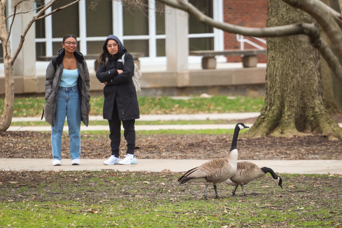 ISU Dean of Students tweet media
