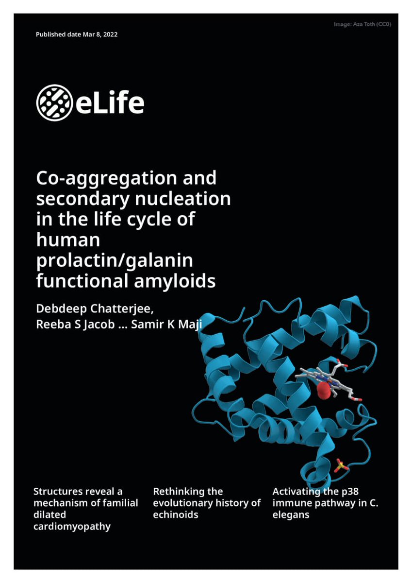 Debdeep Chatterjee (@debdeepchatter) on Twitter photo Happy to share an excellent cover design for our recent study by <a href="/eLife/">eLife - the journal</a> production team..<a href="/SamirKMaji1/">Samir K Maji</a> <a href="/maji_lab/">MajiLab (Protein Engineering and Neurobiology Lab)</a> <a href="/BsbeIitb/">Biosciences & Bioengineering, IIT Bombay</a> <a href="/iitbombay/">IIT Bombay</a> Happy to share an excellent cover design for our recent study by <a href="/eLife/">eLife - the journal</a> production team..<a href="/SamirKMaji1/">Samir K Maji</a> <a href="/maji_lab/">MajiLab (Protein Engineering and Neurobiology Lab)</a> <a href="/BsbeIitb/">Biosciences & Bioengineering, IIT Bombay</a> <a href="/iitbombay/">IIT Bombay</a>