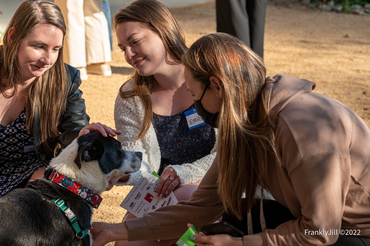 paws4ever_nc's tweet photo. We had a great time last weekend at "A Toast to Pets!" Brunch fundraiser with guest speaker, 
@Cat_Warren. Thanks to our sponsors and everyone who attended! We  raised more than $30,000 for pets in need! https://t.co/dwy1TilwPM