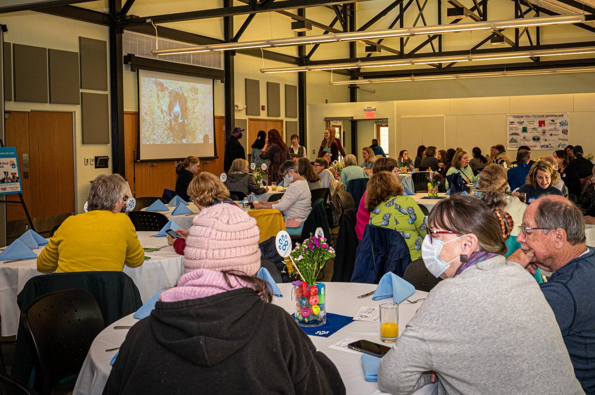 paws4ever_nc's tweet photo. We had a great time last weekend at "A Toast to Pets!" Brunch fundraiser with guest speaker, 
@Cat_Warren. Thanks to our sponsors and everyone who attended! We  raised more than $30,000 for pets in need! https://t.co/dwy1TilwPM