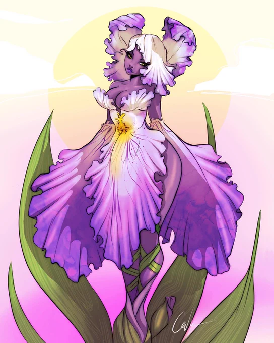 A Lovely Iris 