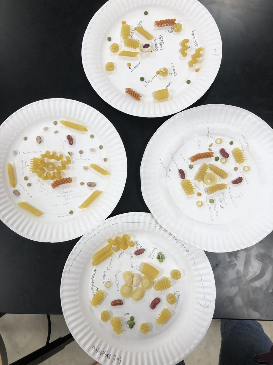 espath_'s tweet photo. Super exciting afternoon creating & implementing “Mission Impastable”. Students had to come up with a name for their cell that was pasta related. We had “Ribosoli”, “Shellular” and “Cellighetti” just to highlight a few!🦠🍝#flexschedule #esmpgproud #CNYteachercollaborative https://t.co/NbtOp2tmng