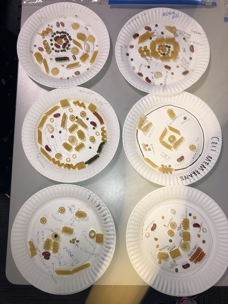 espath_'s tweet photo. Super exciting afternoon creating & implementing “Mission Impastable”. Students had to come up with a name for their cell that was pasta related. We had “Ribosoli”, “Shellular” and “Cellighetti” just to highlight a few!🦠🍝#flexschedule #esmpgproud #CNYteachercollaborative https://t.co/NbtOp2tmng