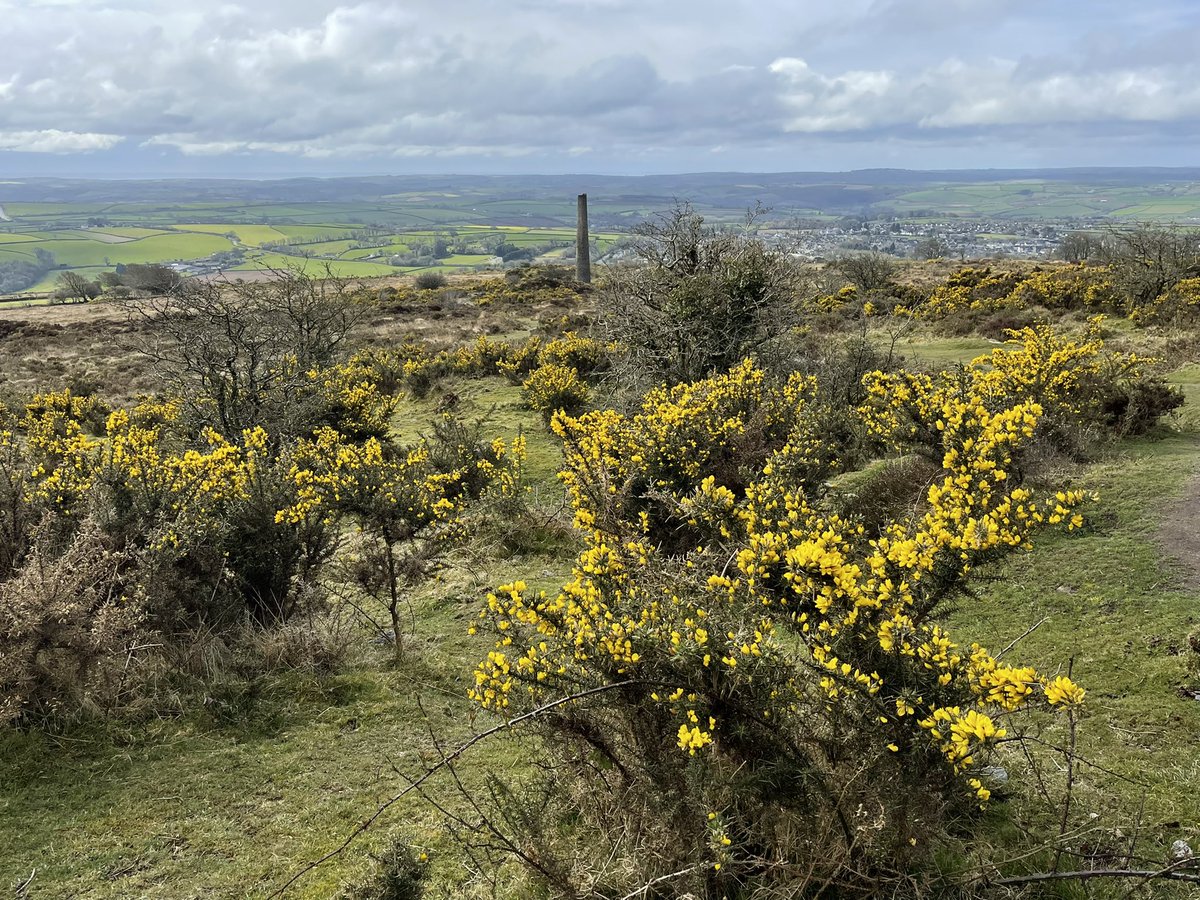 absolutoursuk's tweet photo. @BBGuides Another day ‘in the field’ On a reccy @CornishMining @CornwallCouncil @DuchyofC #KitHill @KWTWeather @SulisGuides @WestcountryWide https://t.co/tEOngqgT6u