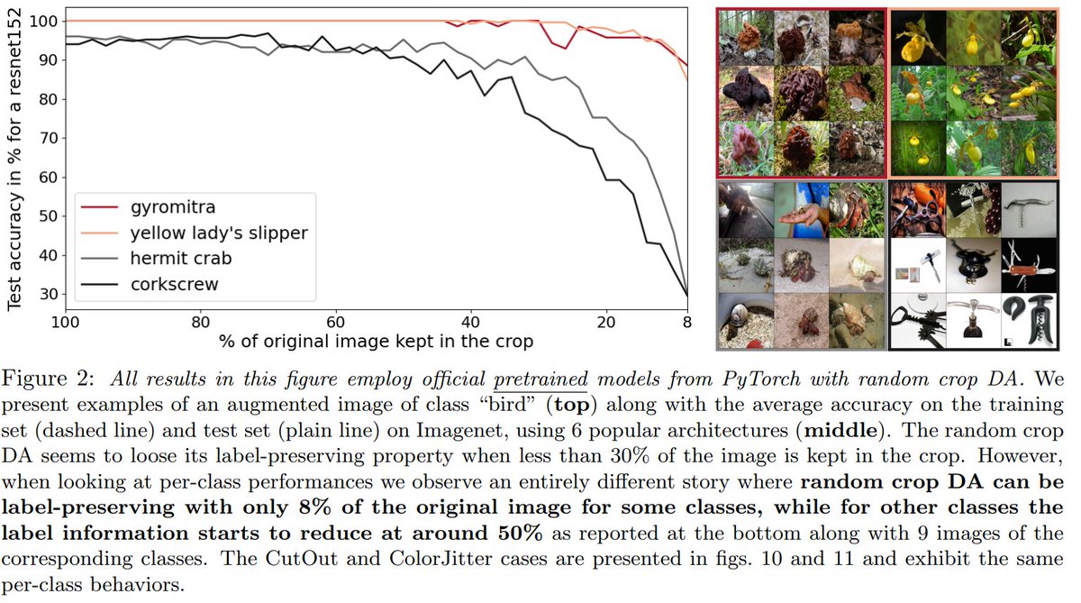 New paper:
"The Effects of Regularization and Data Augmentation are Class Dependent"
by Randall Balestriero, Leon Bottou, Yann LeCun

TL;DR: Turns out some types of data augmentation helps some categories and hurt others...

arxiv.org/abs/2204.03632