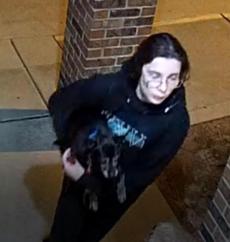 OKCPD's tweet photo. Do you recognize the guy (or his dog) in the photos? It’s the same guy in all three pics. He burgled the same business in NW OKC several times over the past year. If you know who he is, call Crime Stoppers at 405.235.7300 or https://t.co/YVxGWebkLk. 22-20870 https://t.co/nrlpcQ0d7F