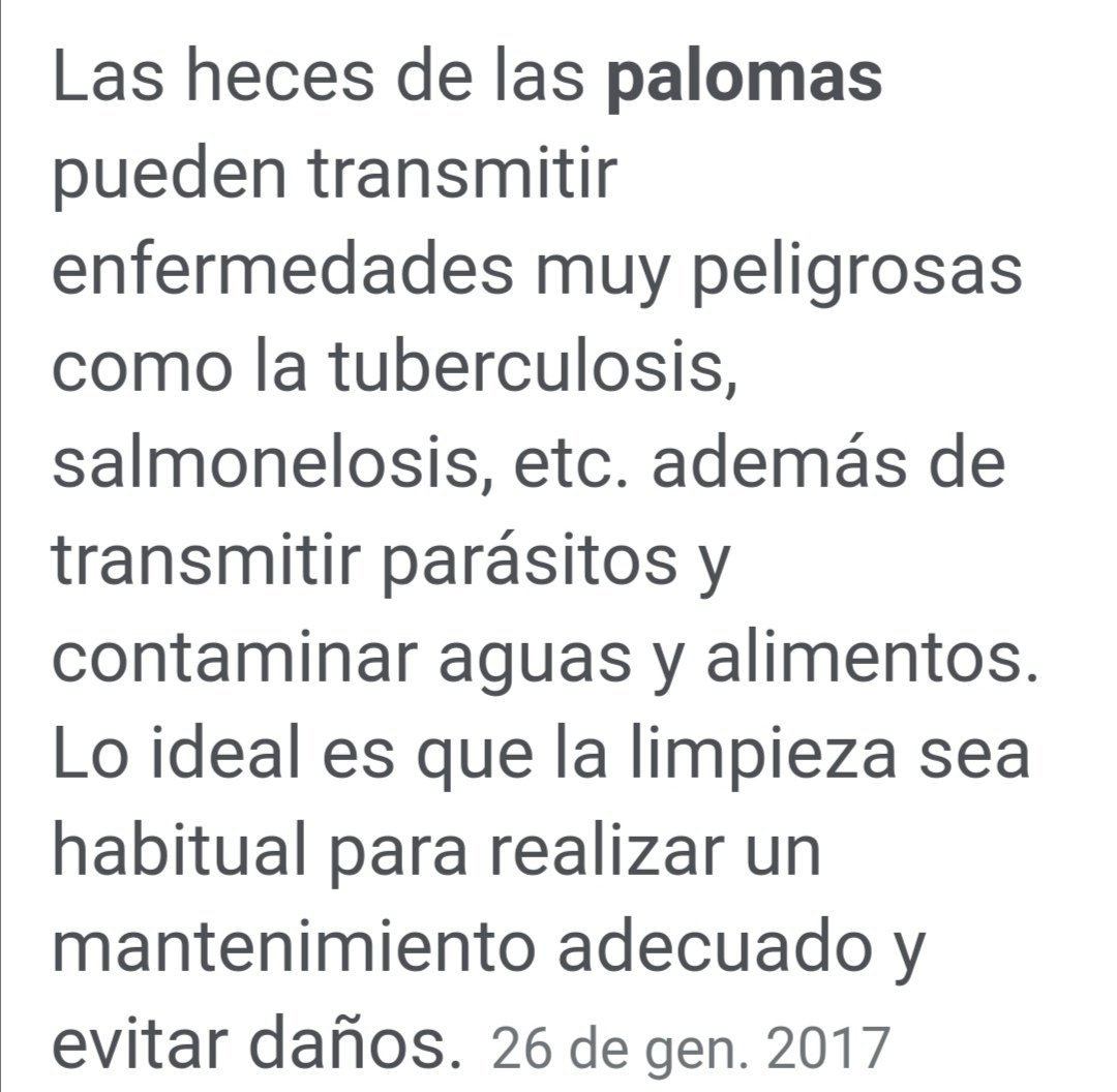 2amicsdelallet1's tweet photo. @antonipostius #noescapsecret
Per a insalubritat, les cagades de #coloms que et trobes pels carres de #Lleida
#QUÈFEU? https://t.co/FdBUZcQSnw
