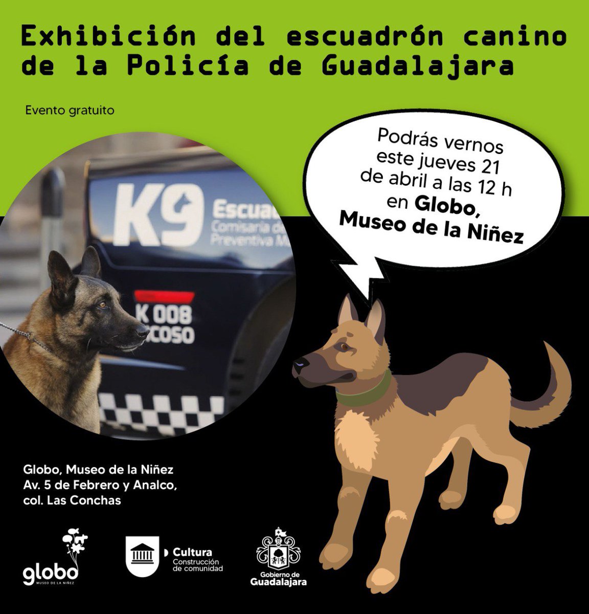 culturagdl's tweet photo. Te invitamos a la exhibición del escuadrón canino de la Policía de Guadalajara el próximo jueves 21 de abril en el Globo, Museo de la Niñez de Guadalajara. 

Conoce las herramientas para hacer más ágiles y efectivas las labores de búsqueda de los canes. 

Entrada gratuita | 12 h https://t.co/kGgrEGVzo4