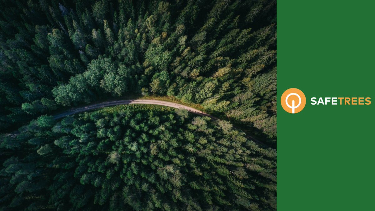 Trees_token's tweet photo. Every year approximately 12 million hectares of forest are destroyed and this deforestation, together with agriculture and other land use changes, is responsible for roughly 25 per cent of global greenhouse gas emissions. #Trees2Gate #SAFETREES #TreesArmy https://t.co/K3G9i6jS7L