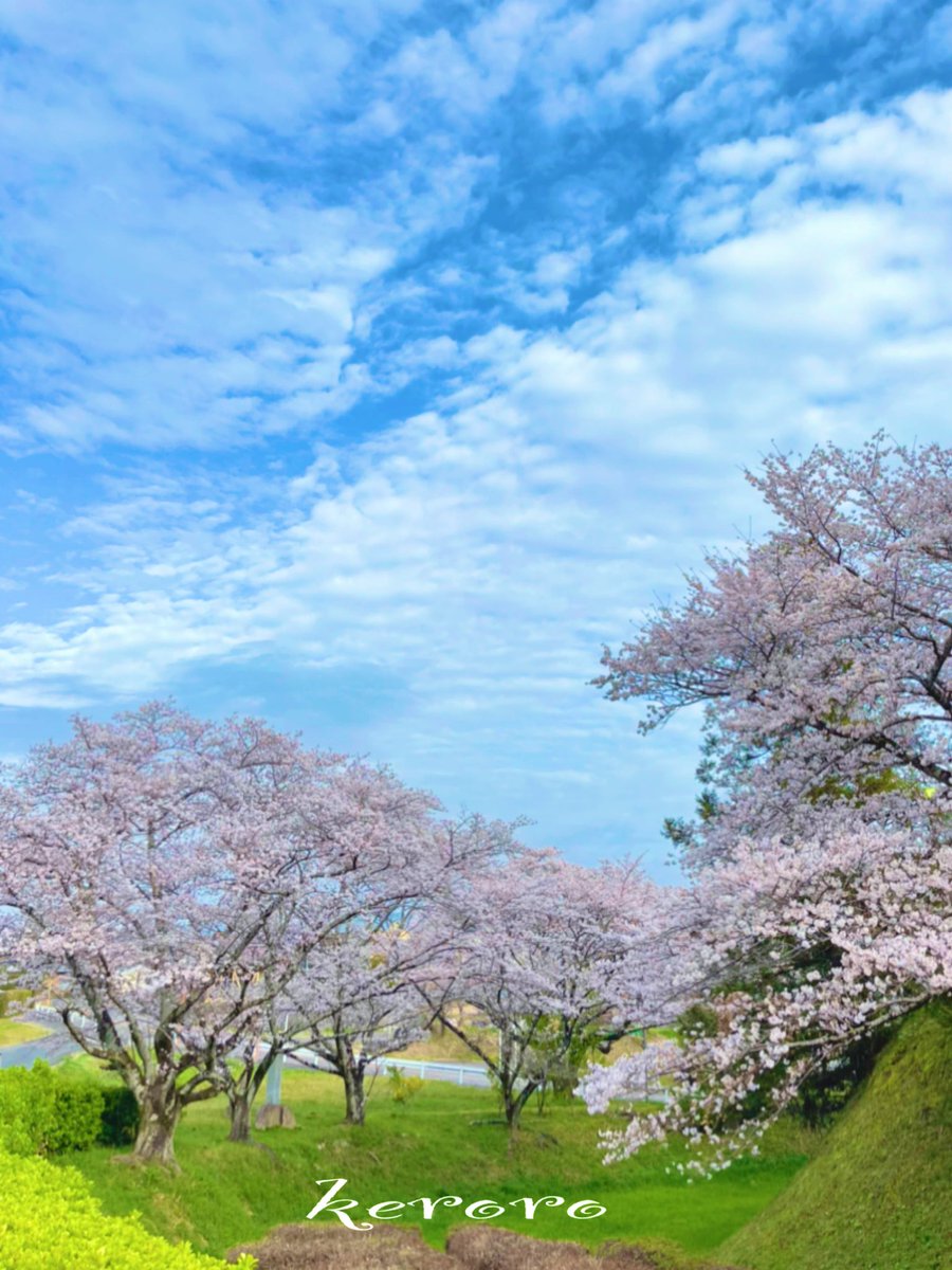 keroro023's tweet photo. おはようございます　☀️

　4月9日   #土曜日     🌸

　いつもありがとう
　　　　　ござい ます🙇‍♂️

　今日もよろしく
　　　　お願いします✨

　素敵な良い週末を
　　お過ごしください🍀 https://t.co/IsVhMgeKl4