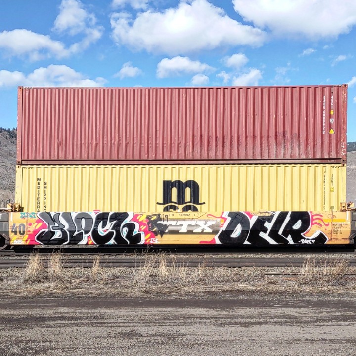 GraffitiExpress's tweet photo. bloch delr
#kamloops #train #graffiti #art
#bloch #delr https://t.co/kJYUlZ0Krn