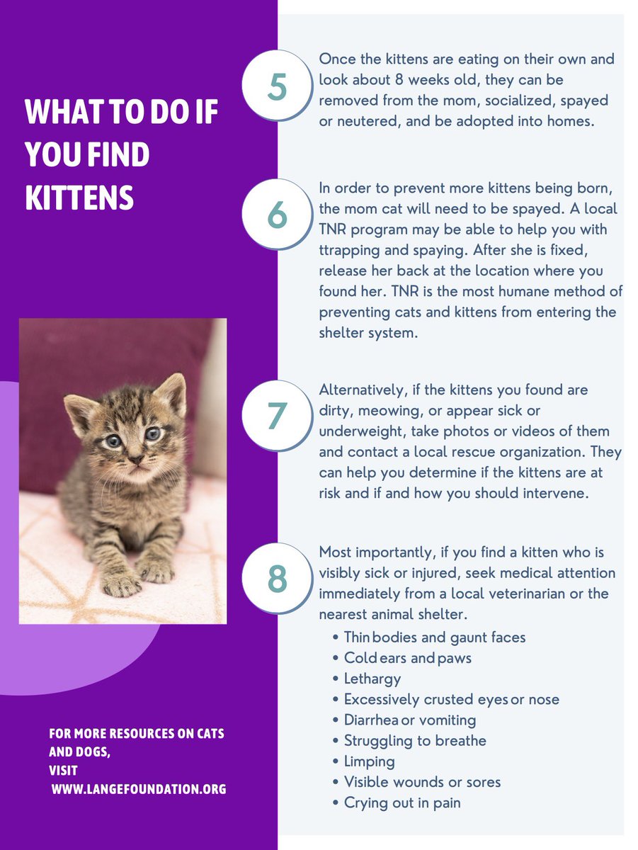 Kitten season has started! Kittens do best with their mothers until they are two months old and if you see kittens outside that look clean and fed do not remove them. They have a mother cat nearby taking care of them. Only remove kittens who are sick or injured and need a vet!