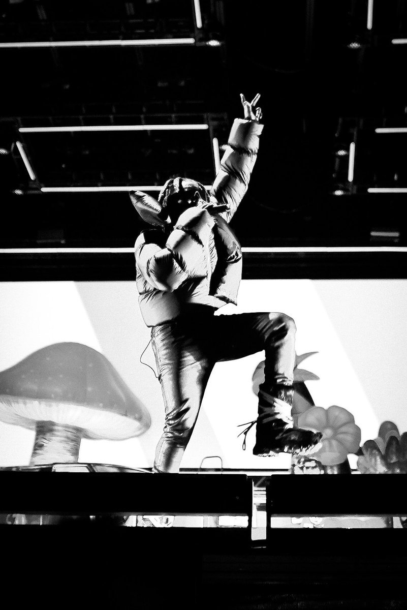 thatsmyvisuals tweet media