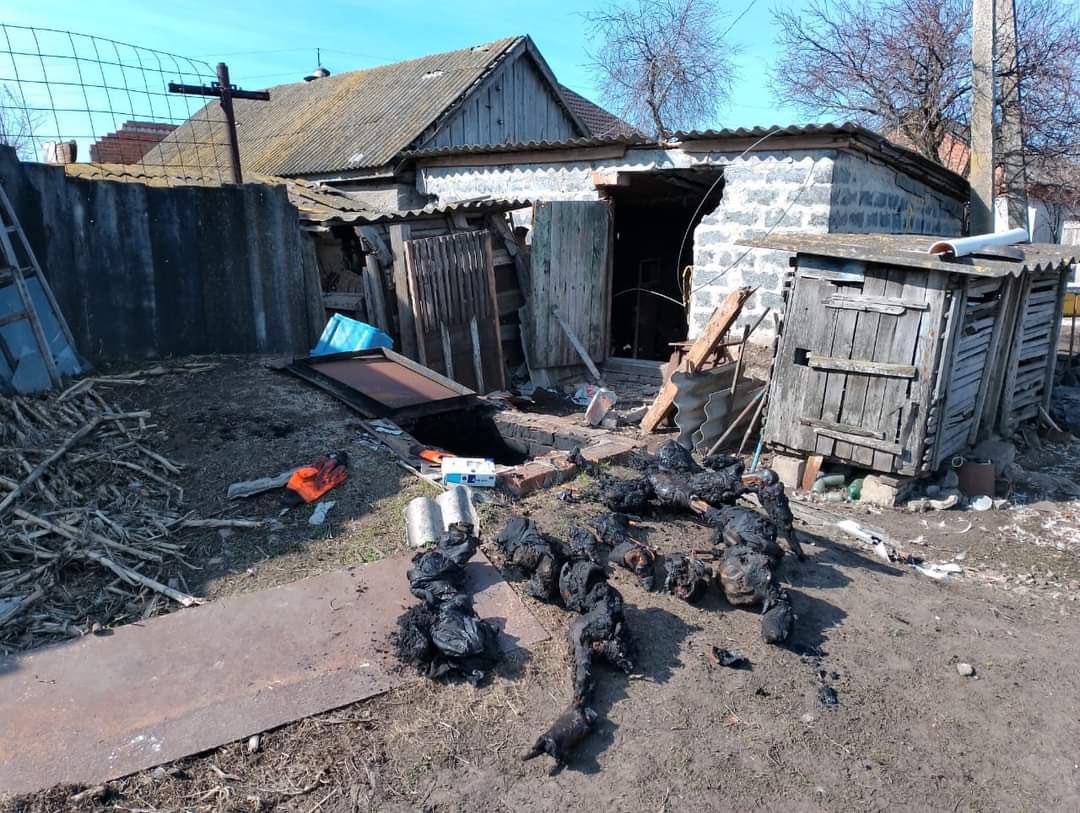 GicAriana's tweet photo. Russian forces burned Ukrainians hiding in cellars. These are charred remains of a family (including a child) found in the Kharkiv region after UA liberation from Russian occupation.

RU soldiers are accused of throwing grenades into basements in the Kyiv region as well. A tactic https://t.co/ZTfZC0VC5K