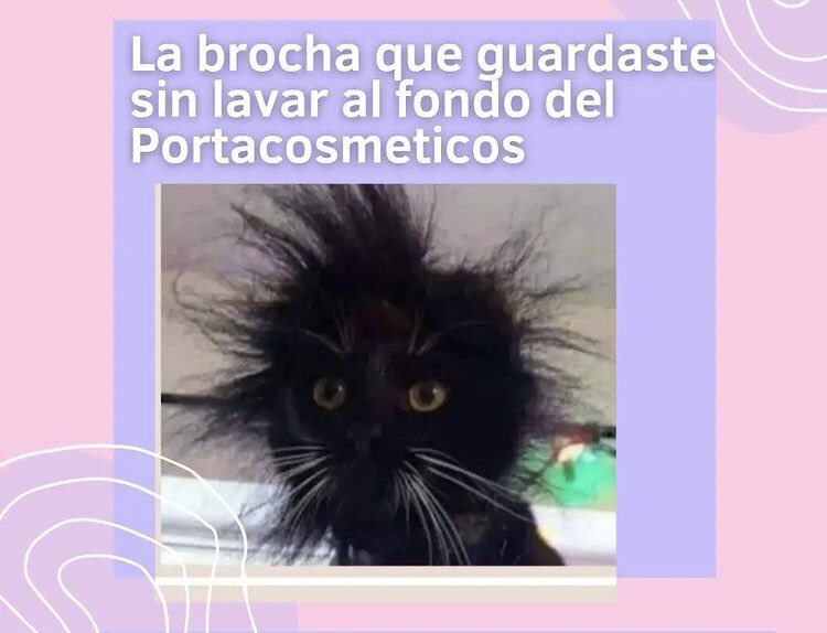 kokoroshop1's tweet photo. No lo hagas porfa JAJA 🙏 🤣💕 https://t.co/tzh0OtR1l0