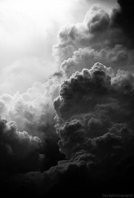 Archillect (@archillect) on Twitter photo 