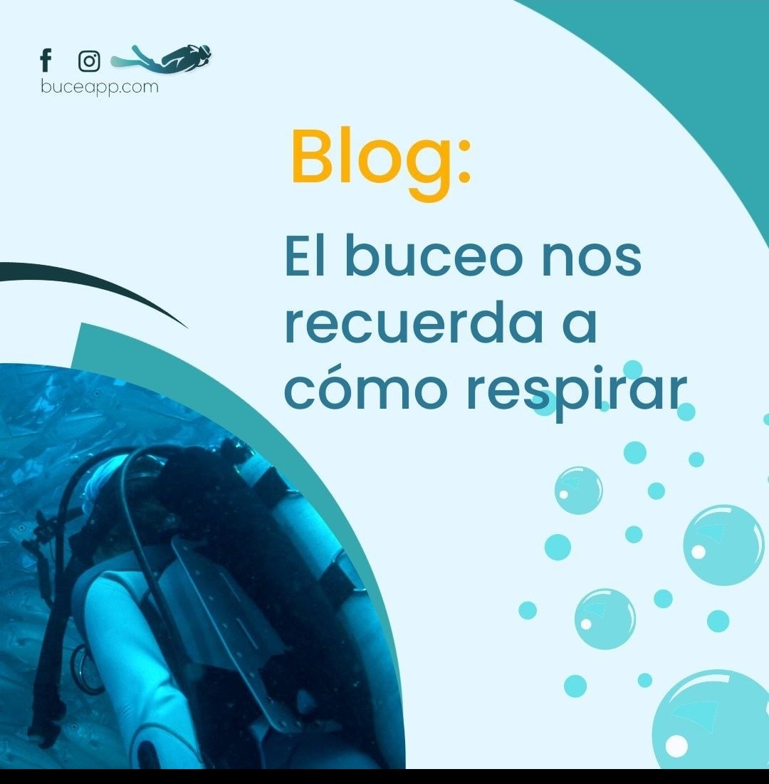 buceapp's tweet photo. 💥Breaking! todos nuestros artículos disponibles para Uds. https://t.co/J5CANvURRn #sumergeteenlaaventura #buceoenmexico #buceapp #turismo #Psicologia #visitmexico #Audiencias @BARCENAMIGUEL @RubenDArvizu @ERIKA_DIAVOLO https://t.co/oGM4v0MyWE