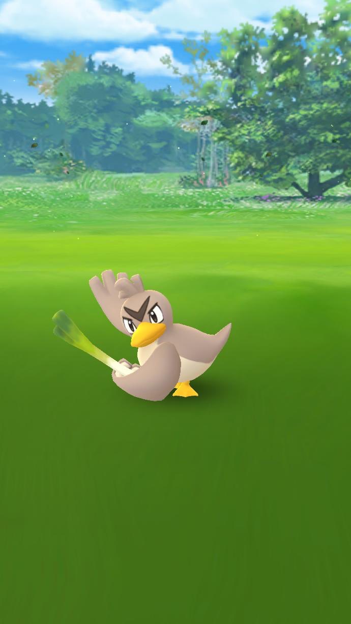 未明の片恋 ポケモンgo カモネギのバシッと が撮りたかった のに あまり戦い感 は伝わらないカモ またいつか挑戦 T Co Egqvrysvxw Twitter