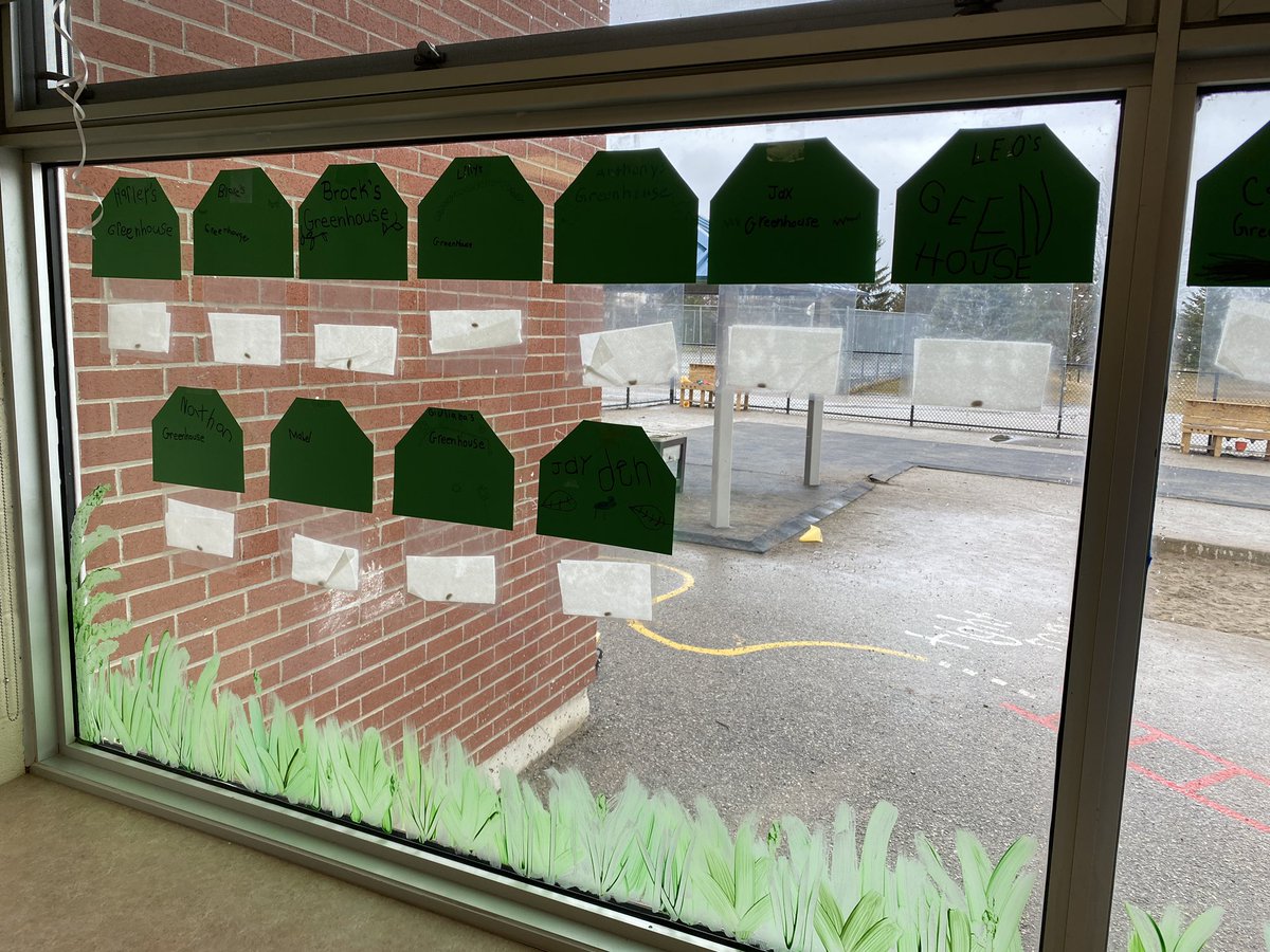 EmilySledz's tweet photo. Today we explored the life cycle of a bean plant with our Grade 8 buddies! Check out the bean plant greenhouses they helped us assemble! We can’t wait to watch our seeds grow! 🌱 

@SMCDSB_SJA @MsGillis2 @mygrade8squad https://t.co/0ufq2yBCYY