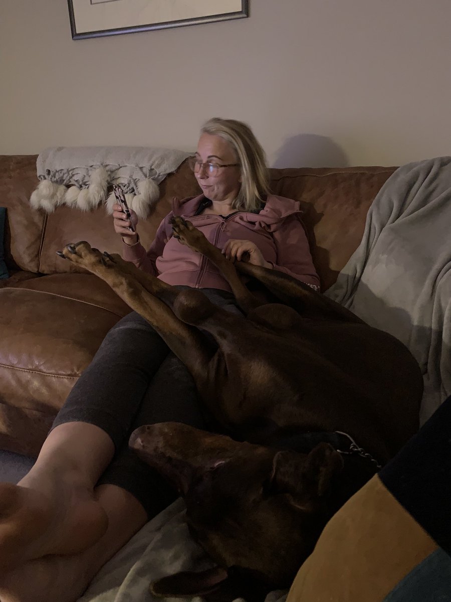 Fendithe doberman tweet media