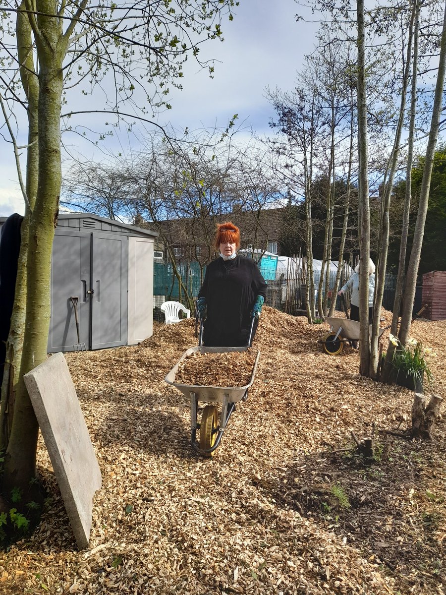 FriendsDrive's tweet image. Another approximate 20 tons of wood chippings spread today. Thank you Rapid Tree Care and all of our Volunteers.