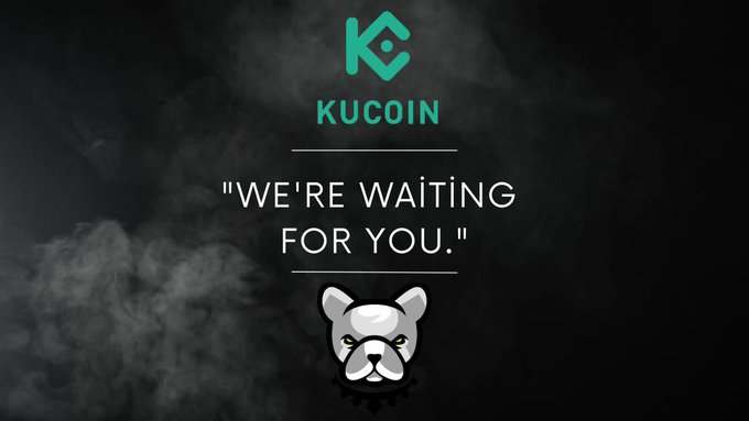 Tradersamet's tweet photo. @KuCoinTurkey #PitbullArmy https://t.co/4MvjdAnoqy