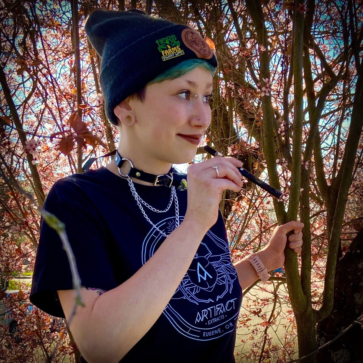 Artifact Extracts tweet media