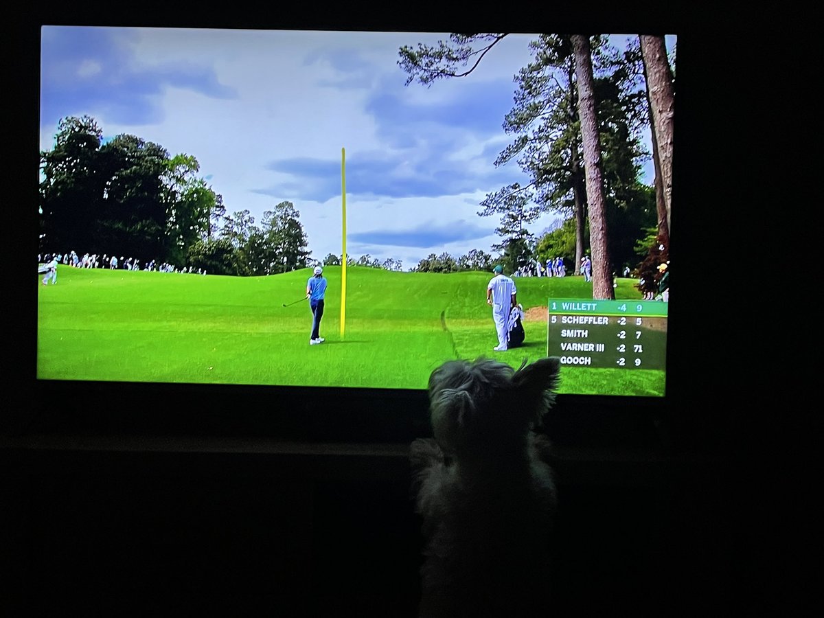 SteveApterQFSM's tweet photo. Me and my Pip marvelling at the #Masters https://t.co/UCTTZHKzaz
