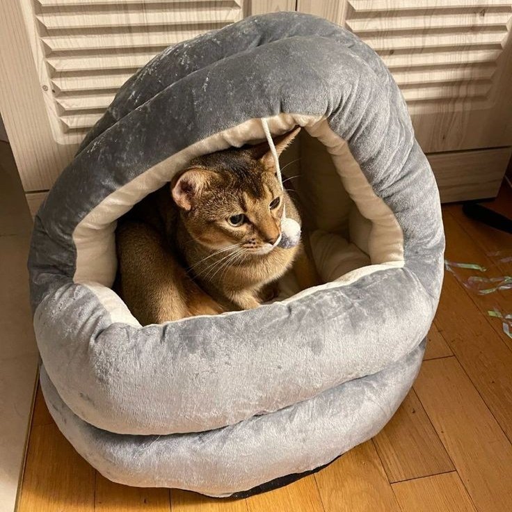 ⠀⠀⠀⠀⠀ ⠀ ⠀⠀𝑀𝑦 >𝑏𝑎𝑏𝑦<⠀⠀⠀⠀⠀ ⠀ ⠀⠀